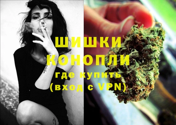 дживик Арсеньев