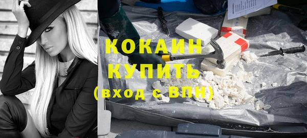 дживик Арсеньев