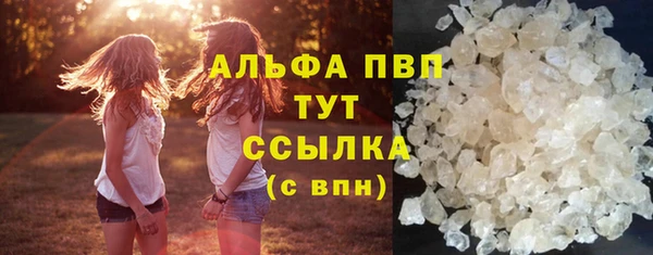 дживик Арсеньев